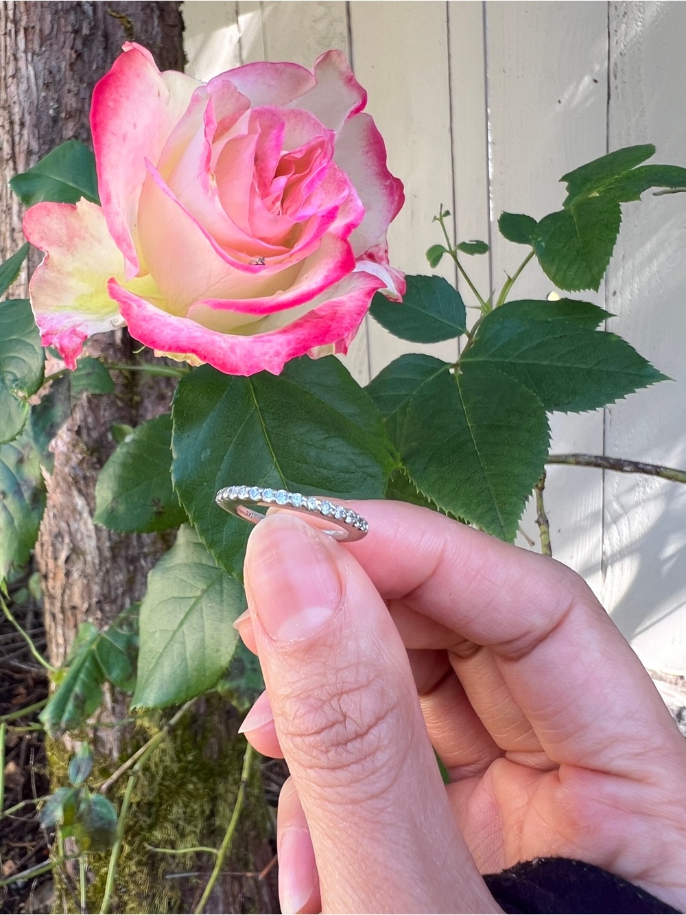 14k White Gold Diamond Band Ring - Picture 4 of 10